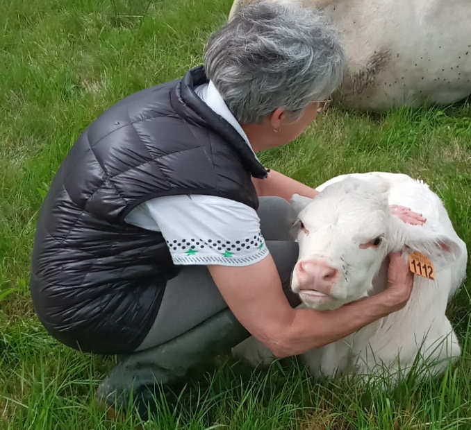 Salon de l’agriculture 2026: un amour vache !
